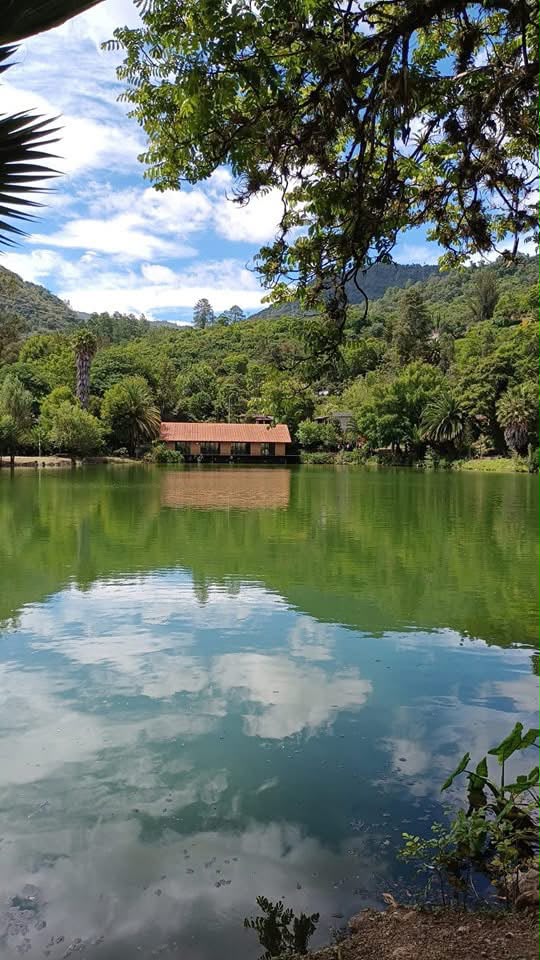 Ruta Sierra Juárez: Bosques y Cunas de la Historia